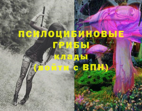 spice Алексин